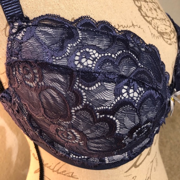 4[Daisy Fuentes] NWOT! Blue lace padded push up - Picture 7 of 8